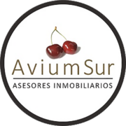 (c) Aviumsur.com